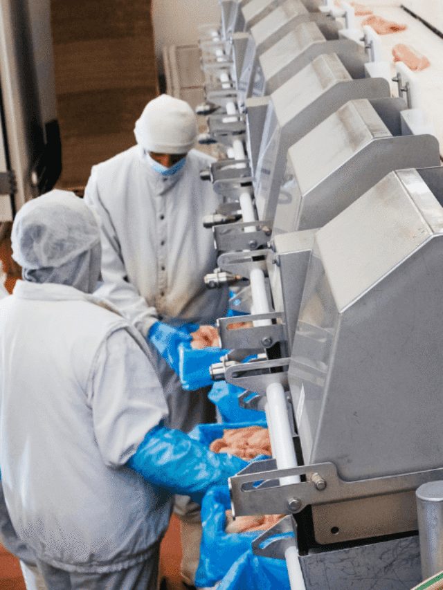 Sistema De Refrigeração Interditado Em Frigorífico do PR