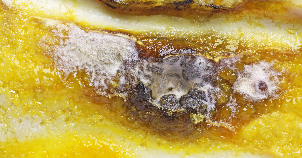 Home 3 Prf Apreende Queijo Sem Refrigeração